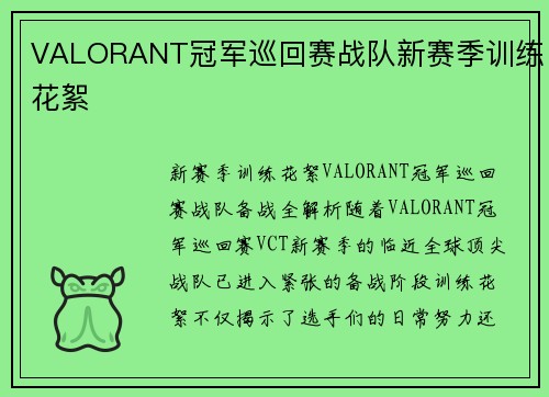 VALORANT冠军巡回赛战队新赛季训练花絮